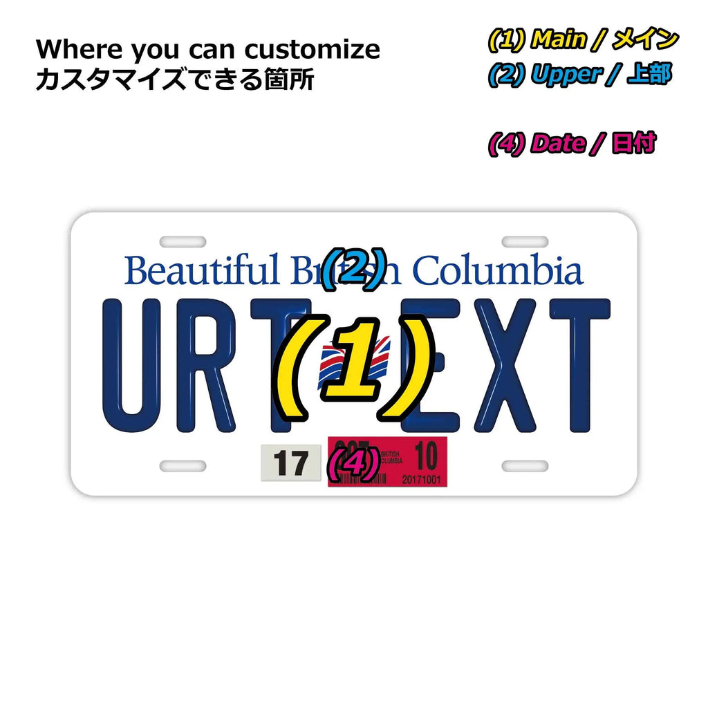 Targa personalizzata (grande, per auto USA) Columbia Britannica/Targa canadese originale in rilievo, insegna decorativa