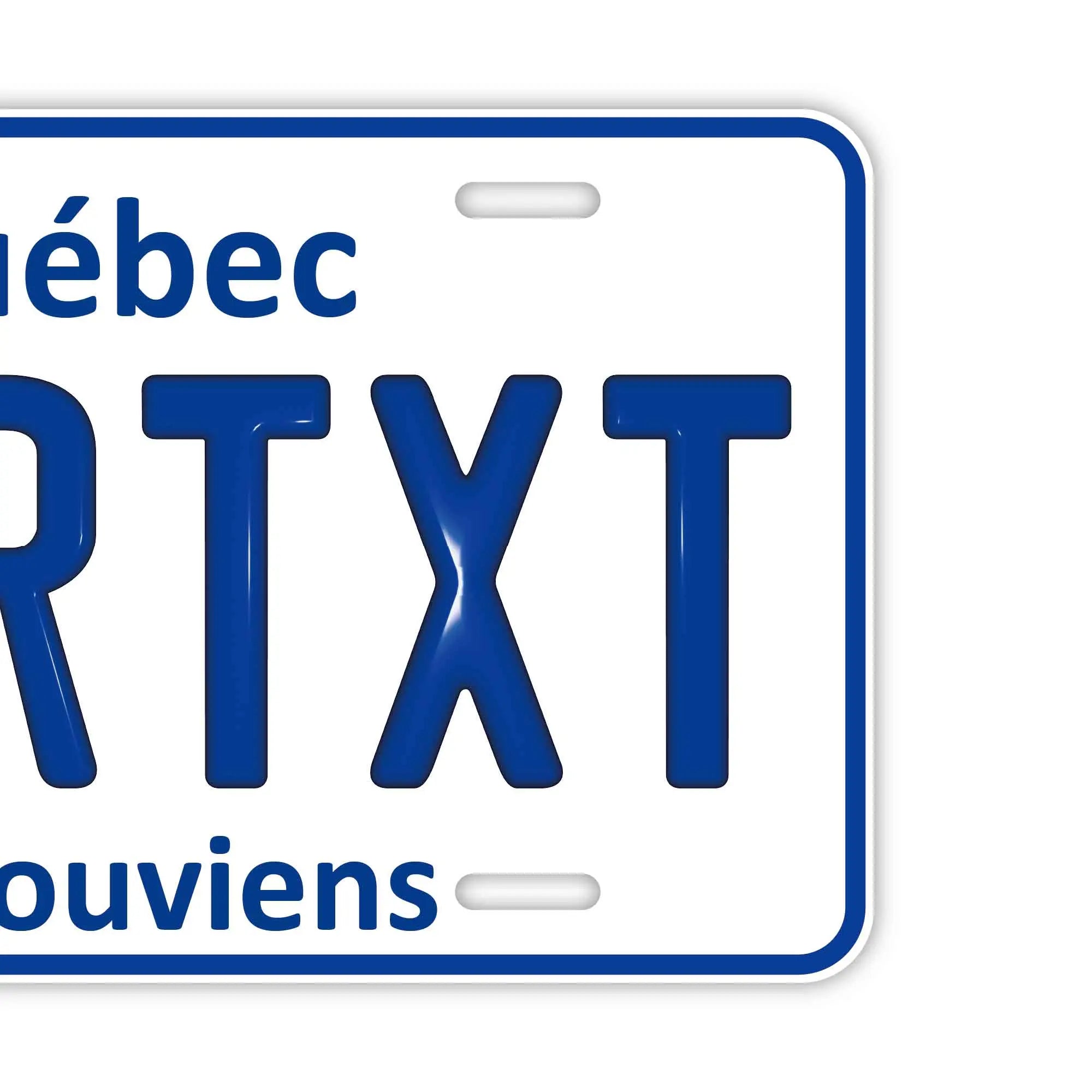 Targa personalizzata [Grande - Per auto USA] Quebec/Targa originale canadese in rilievo per casa