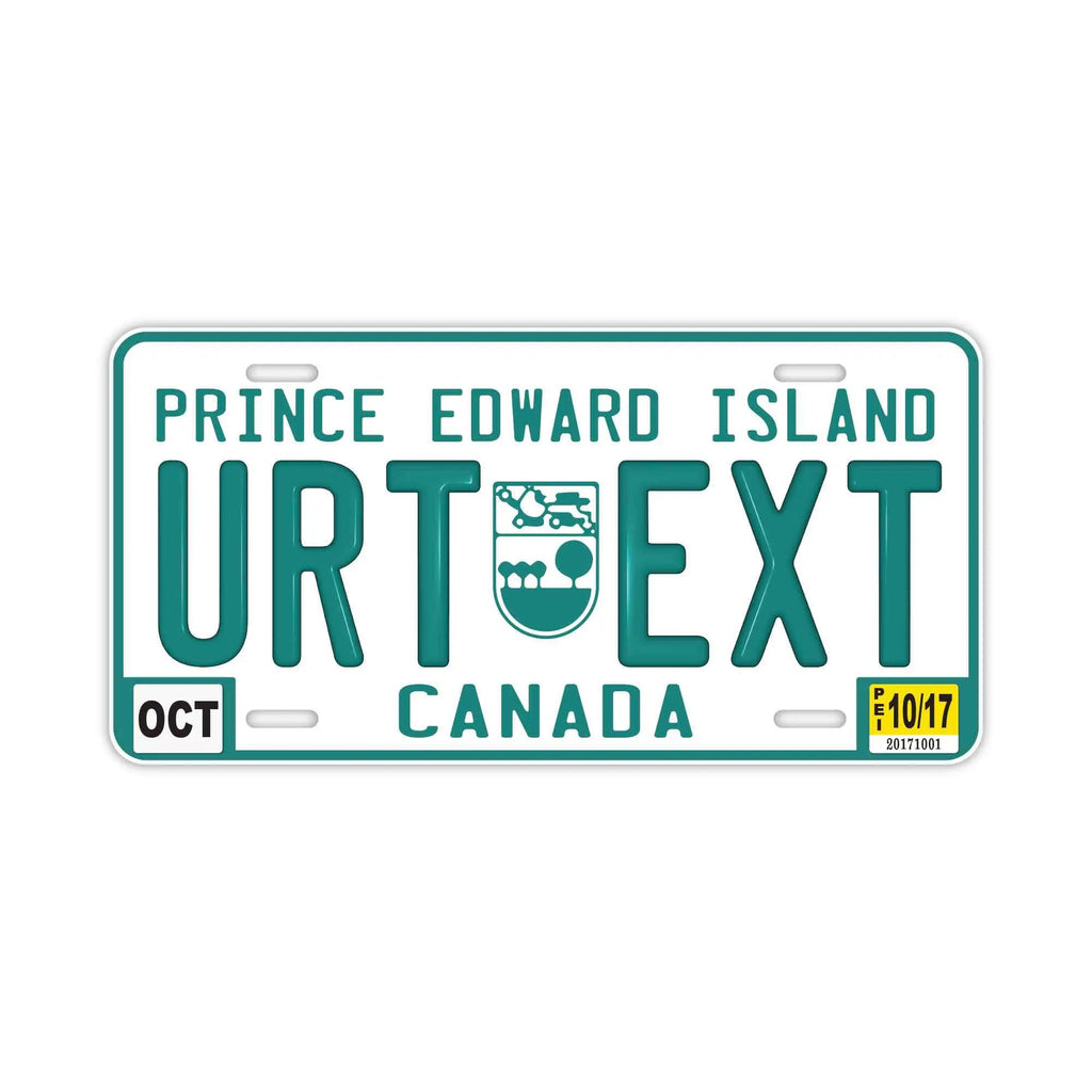 Insegna personalizzata tipo targa [Grande, per auto USA] Prince Edward Island / Targa originale canadese in rilievo, elegante insegna con nome