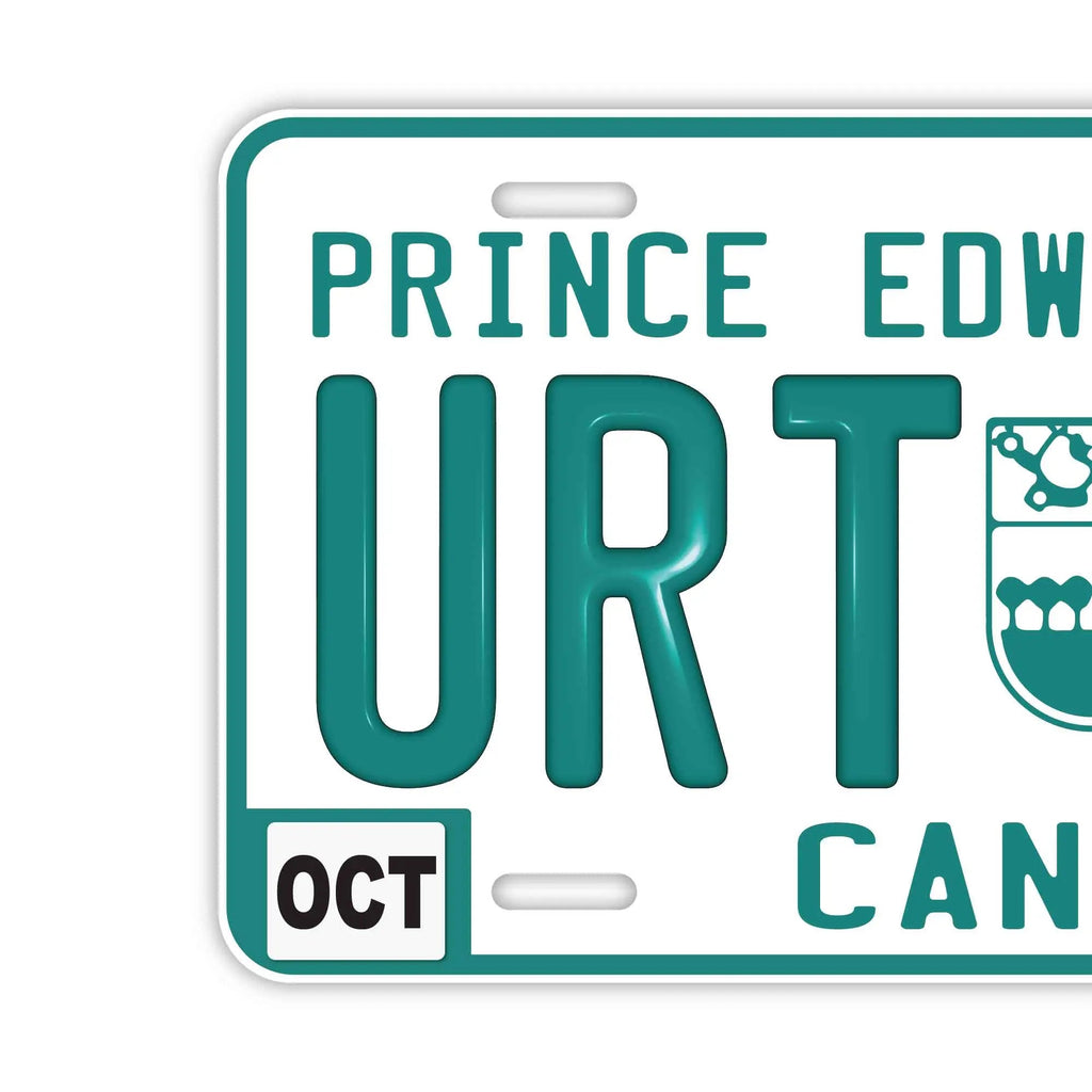 Insegna personalizzata tipo targa [Grande, per auto USA] Prince Edward Island / Targa originale canadese in rilievo, elegante insegna con nome
