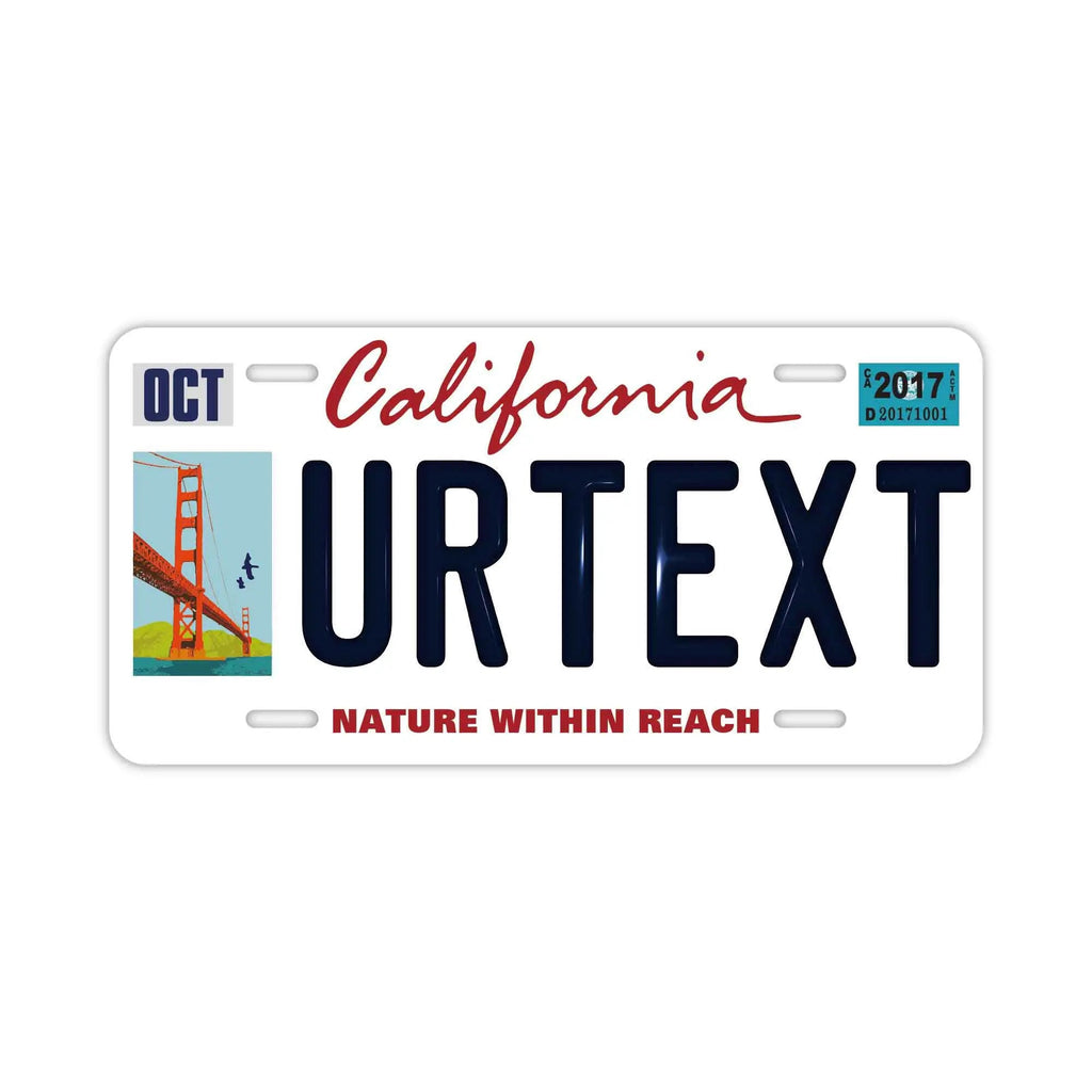 Insegna personalizzata a forma di targa [Grande - Per auto USA] California - San Francisco Ver. / Targa in rilievo americana originale, targa elegante