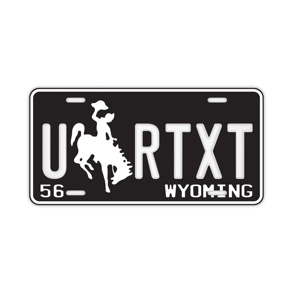 Targa decorativa personalizzata [Grande - Per auto USA] Wyoming 56/Targa americana originale in rilievo Targhetta personalizzata