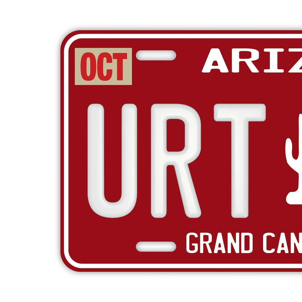 Insegna targhetta personalizzata [Grande - per auto USA] Arizona anni '80/Targa americana originale in rilievo, elegante targhetta da esposizione