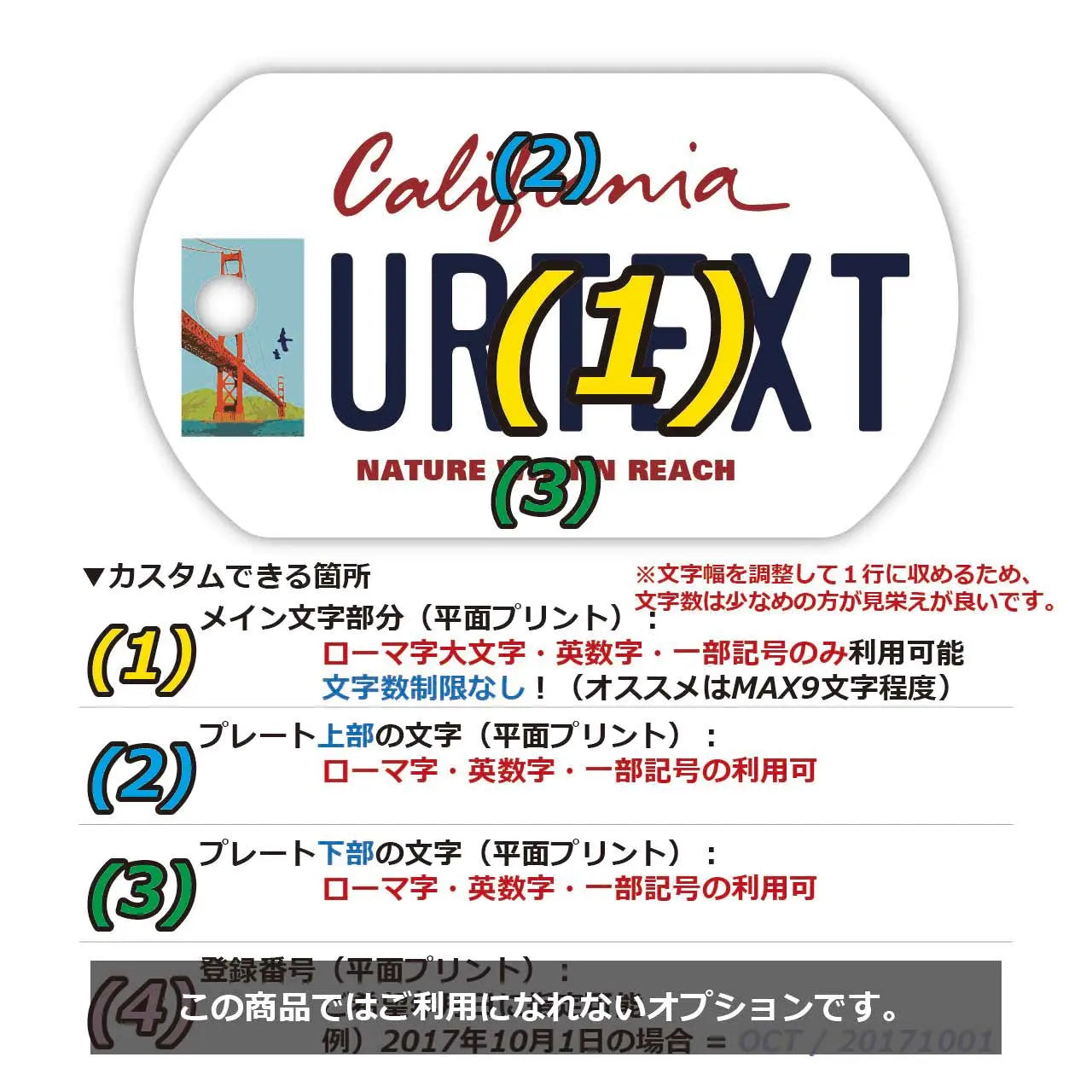 【Medaglietta identificativa per cani/Dog Tag】California-San Francisco Ver./Targhetta originale a forma di targa americana con nome personalizzato