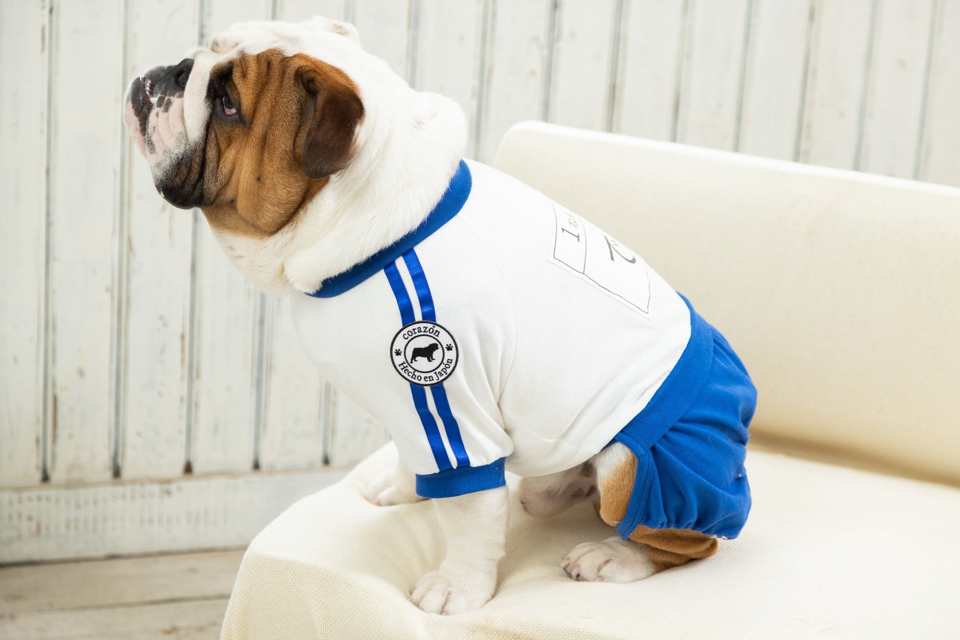[Blu] Pantaloncini da ginnastica con pettorina (French Bulldog/Bull Dog Only) - 100% cotone