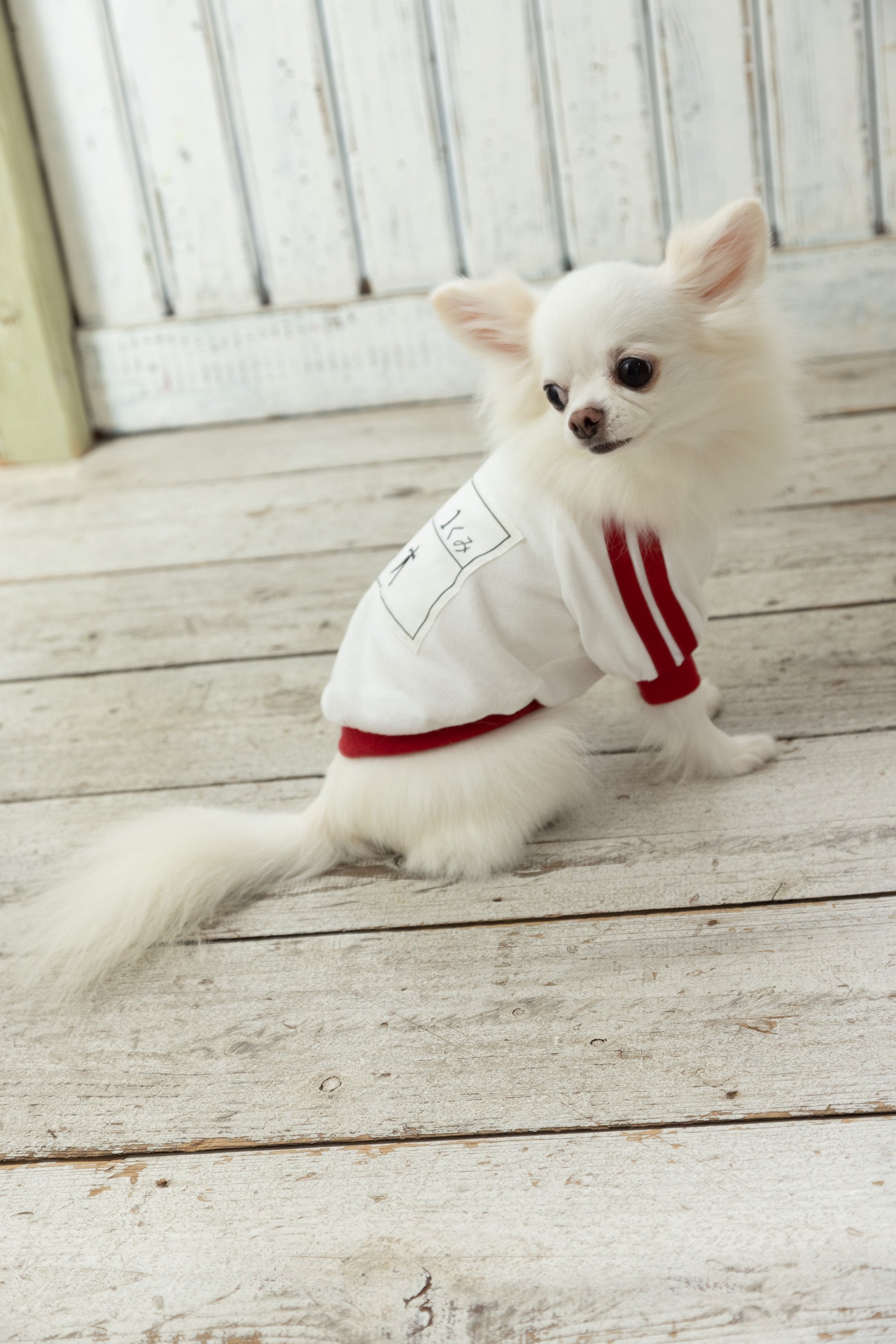 【Rosso】Tuta ginnica con pettorina - 100% cotone