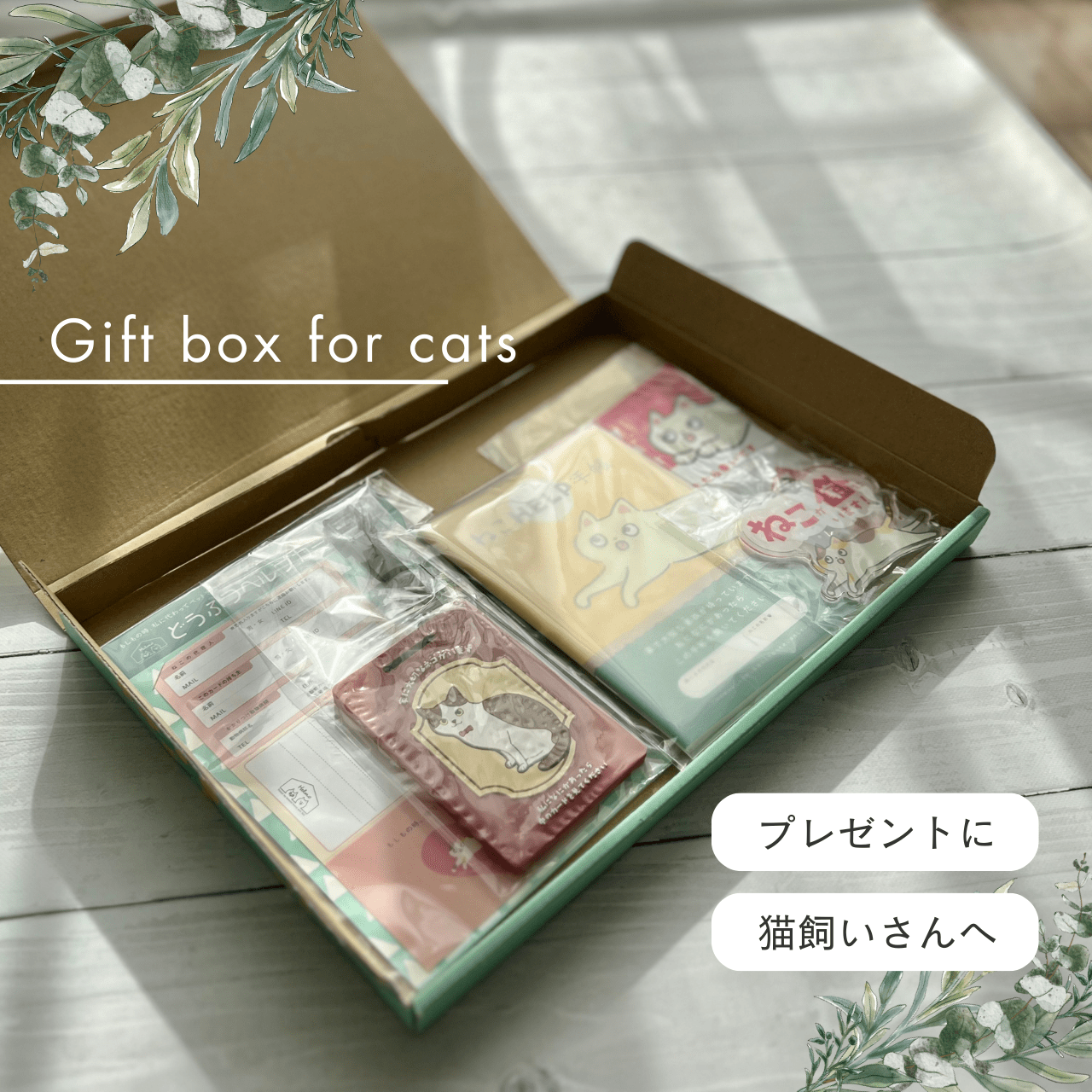BOX Sicurezza Vita col Gatto｜Ottimo anche come regalo! Il set di preparazione per il tuo amato gatto
