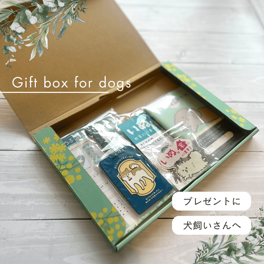 BOX "Vivere in sicurezza con il tuo cane" | Ideale anche come regalo! Il set di preparazione per il tuo amato cane