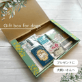 BOX "Vivere in sicurezza con il tuo cane" | Ideale anche come regalo! Il set di preparazione per il tuo amato cane