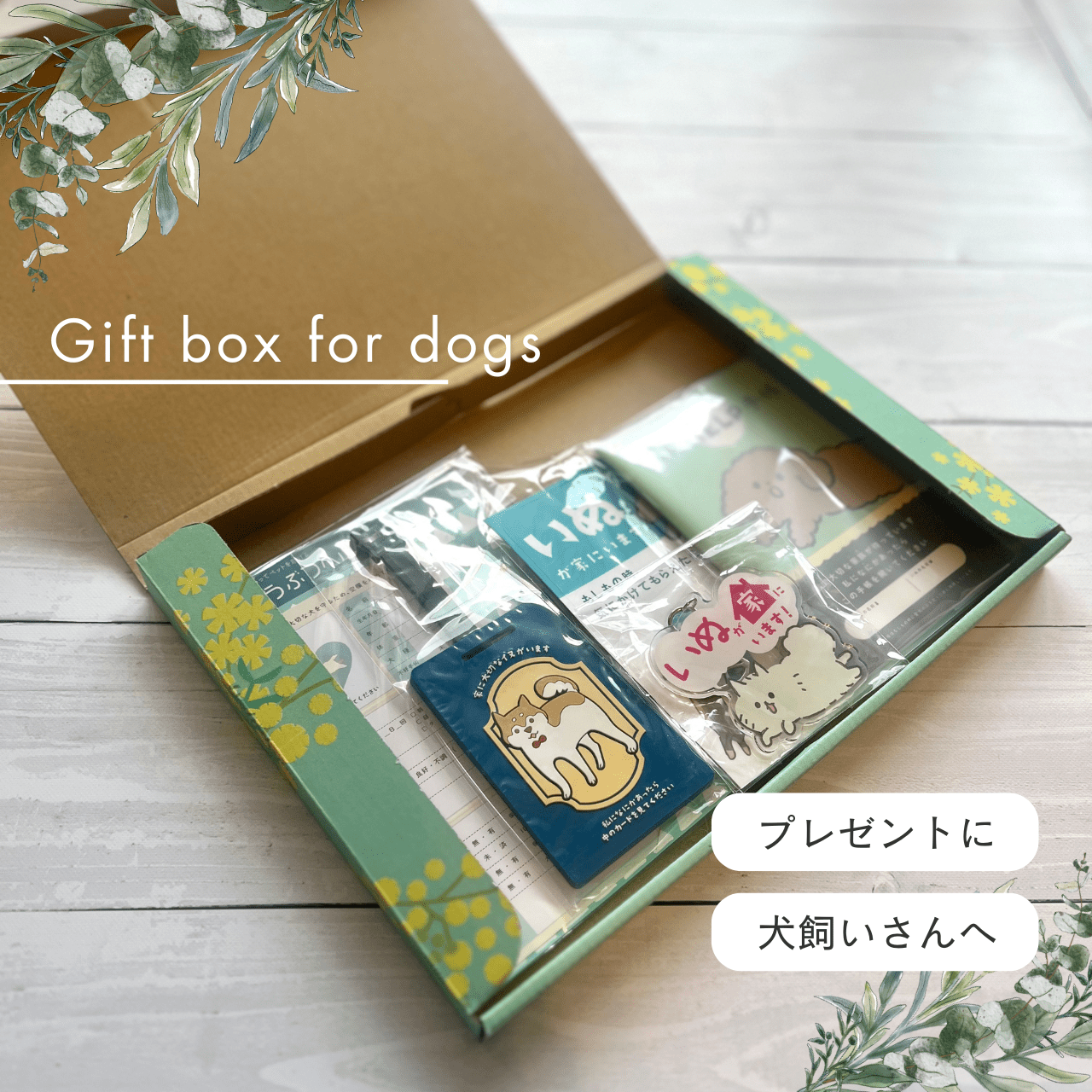 BOX "Vivere in sicurezza con il tuo cane" | Ideale anche come regalo! Il set di preparazione per il tuo amato cane