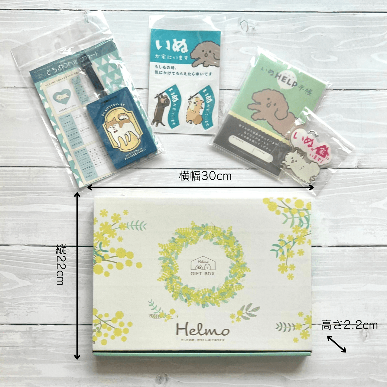 BOX "Vivere in sicurezza con il tuo cane" | Ideale anche come regalo! Il set di preparazione per il tuo amato cane