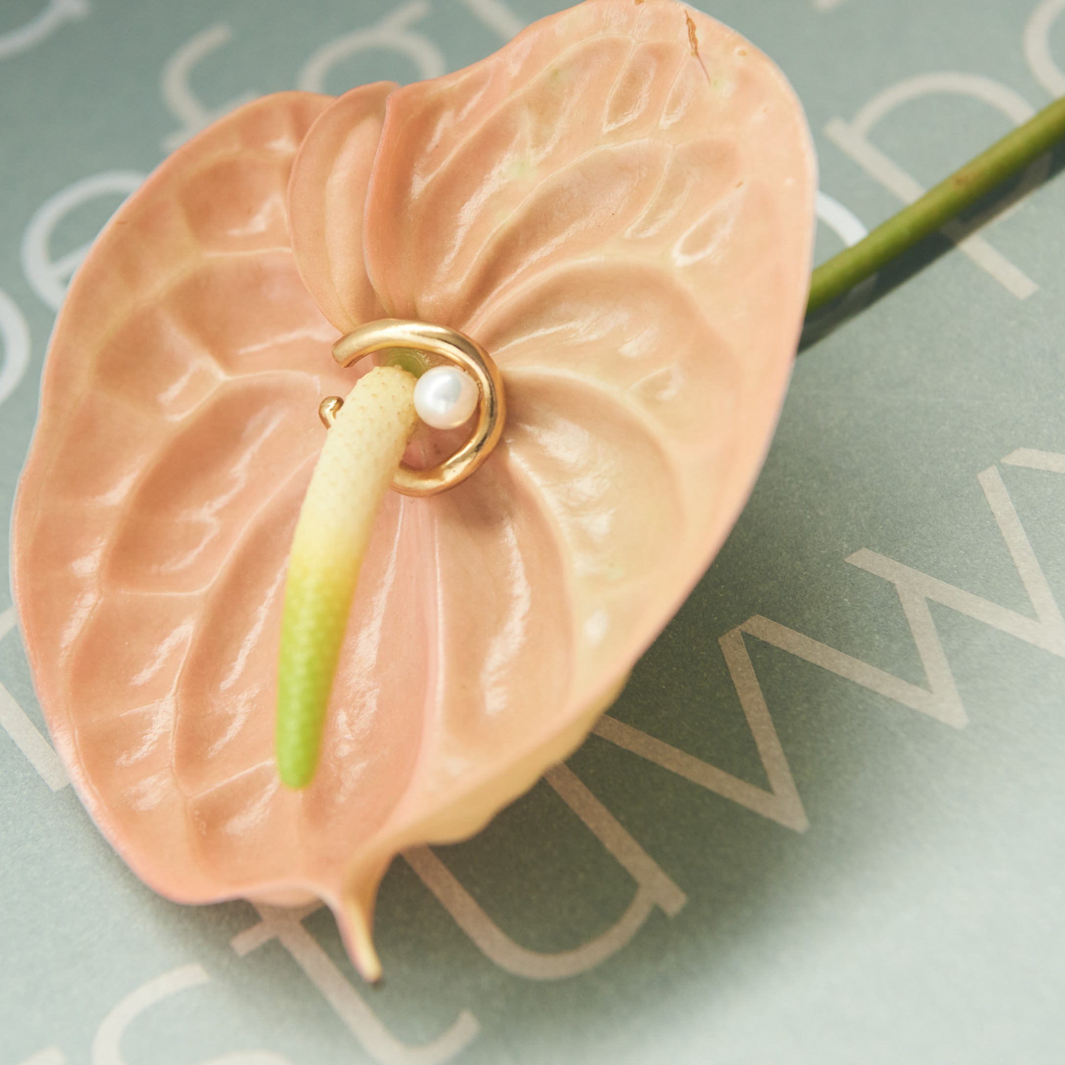 Orecchino a conchiglia Wave Pearl