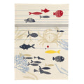 Torcione (pesce)