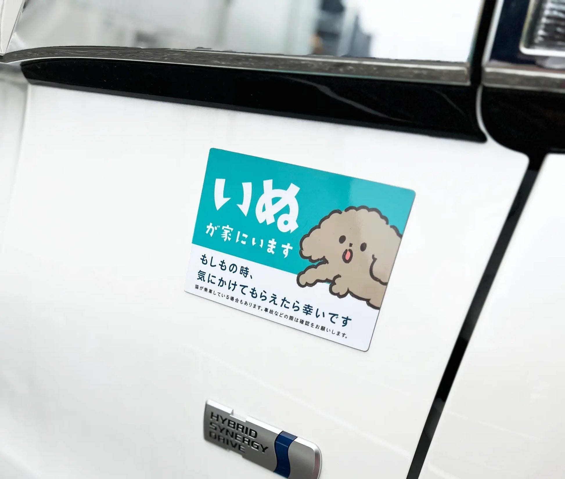 車用マグネット｜いぬが家にいます（ペット防災カーサイン）